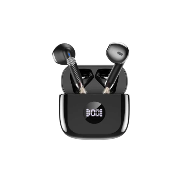 Earbuds 2