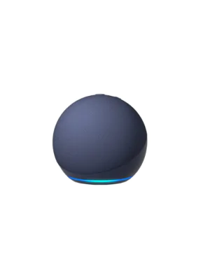 Smart Speaker